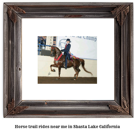 horse trail rides near me in Shasta Lake, California